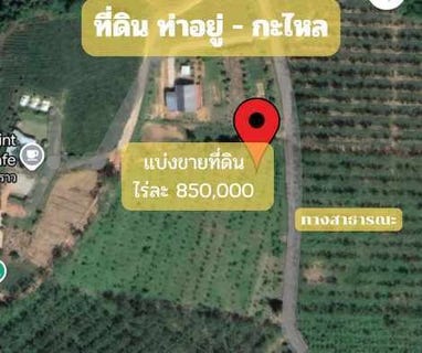 /international/th/สวนป่าโพธิ์ธรรม-ถนน-เพชรเกษม-กะไหล-ตะกั่วทุ่ง-พังงา-82130-ประเทศไทย-ตะกั่วทุ่ง-340105599758/