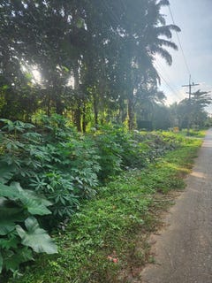 /international/th/4034-เขาทอง-กระบี่-81000-ประเทศไทย-กระบี่-krabi-340106658416/