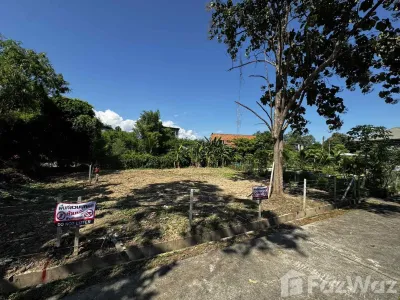/international/th/2-km-highway-1001-nong-chom-san-sai-chiang-mai-50210-tha-nong-chom-chiang-mai-340105611522/