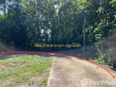 /international/th/วัดเชียงราย-ดู่ใต้-น่าน-55000-ประเทศไทย-น่าน-340105582250/
