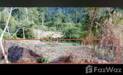 /international/th/เกาะช้าง-ตราด-23170-ประเทศไทย-เกาะช้าง-340105547836/