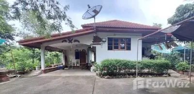 /international/th/ร้านในดำนน-เอกรักษ์เจริญพร-หมู่ที่-1-น้ำบ่อหลวง-สันป่าตอง-เชียงใหม่-50120-ประเทศไทย-สันป่าตอง-340105572841/