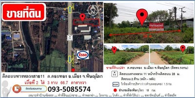 /international/th/11-ดอนทอง-พิษณุโลก-65000-ประเทศไทย-พิษณุโลก-340105589523/