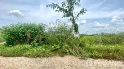 /international/th/บ้านนา-นครนายก-26110-ประเทศไทย-บ้านนา-chaiyaphum-340105622429/