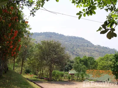 /international/th/ภูเรือ-ชาเลต์-หนองบัว-ภูเรือ-เลย-42160-ประเทศไทย-ภูเรือ-340105624249/