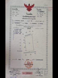 /international/th/ร้านบรรจงพาณิชย์-ต้นธง-ลำพูน-51000-ประเทศไทย-ลำพูน-340106941882/