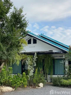 /international/th/บ้านพุเลียบ-หนองบัว-อำเภอเมืองกาญจนบุรี-จังหวัดกาญจนบุรี-ประเทศไทย-กาญจนบุรี-340108868879/