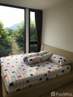 /international/th/the-deck-ถนนเฉลิมพระเกียรติ-ratsada-amphoe-mueang-phuket-phuket-province-83000-tha-ratsada-phuket-province-340105599318/