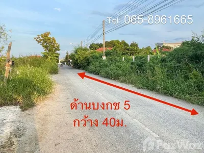 /international/th/ถนน-ไอยรา-2-คลองสอง-คลองหลวง-ปทุมธานี-12120-ประเทศไทย-คลองหลวง-340105593415/