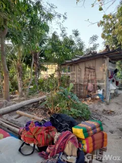 /international/th/ทางหลวงชนบท-ฉช-4002-บ้านซ่อง-พนมสารคาม-ฉะเชิงเทรา-24120-ประเทศไทย-พนมสารคาม-340105598697/