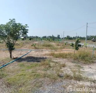 /international/th/สมร-มุ่งหมาย-บางอ้อ-บ้านนา-นครนายก-26110-ประเทศไทย-บ้านนา-chaiyaphum-340105595655/