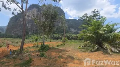 /international/th/กระบี่-81000-ประเทศไทย-กระบี่-krabi-340108163562/