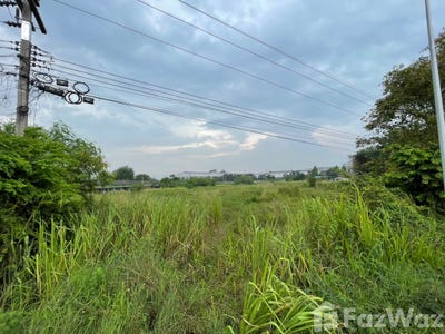 /international/th/ร้านช-ยุทธโภชนา-3133-หนองอิรุณ-บ้านบึง-ชลบุรี-20220-ประเทศไทย-บ้านบึง-ang-thong-340105592487/