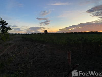 /international/th/ทางหลวงชนบท-นพ-2009-มหาชัย-ปลาปาก-นครพนม-48160-ประเทศไทย-ปลาปาก-340105594040/