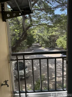 /international/th/the-chiva-sanctuary-khao-yai-nikhom-srang-ton-ang-lam-takong-sai-ban-sai-ngam-wang-sai-pak-chong-nakhon-ratchasima-30130-thailand-pak-chong-phetchabun-340105546172/