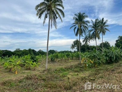 /international/th/แซนด์วิชแมรี่ส์-ในเมือง-หนองคาย-43000-ประเทศไทย-หนองคาย-340105566861/