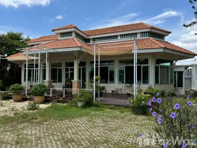 /international/th/o-bo-cho-chiang-mai-3039-rd-buak-khang-san-kamphaeng-chiang-mai-50130-tha-buak-khang-chiang-mai-province-340105611482/