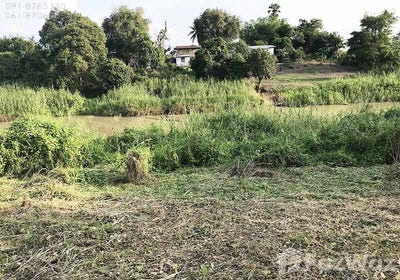 /international/th/mother-princess-uppatham-catholic-church-หมู่ที่-4-บางพระหลวง-นครสวรรค์-60000-ประเทศไทย-นครสวรรค์-340105593479/