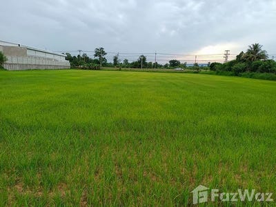 /international/th/ถนน-ชยางกูร-สามแยก-เลิงนกทา-ยโสธร-35120-ประเทศไทย-เลิงนกทา-340105544626/