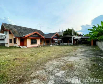 /international/th/ถนน-พหลโยธิน-บ้านต๋อม-พะเยา-56000-ประเทศไทย-พะเยา-340105591862/