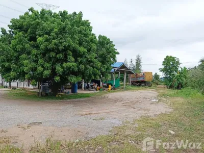 /international/th/344-หนองไผ่แก้ว-บ้านบึง-ชลบุรี-20220-ประเทศไทย-บ้านบึง-ang-thong-340105541619/