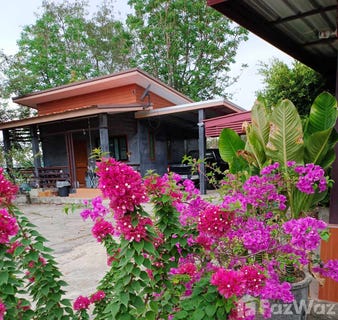 /international/th/บริษัท-เวิรล์ด-ควอลิตี้-จำกัด-หนองปลาหมอ-หนองแค-สระบุรี-18140-ประเทศไทย-หนองแค-340105600183/