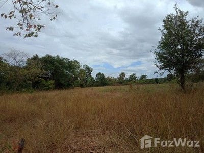 /international/th/วัดป่า-อรัญญวาปี-โพธิ์ชัย-หนองคาย-43000-ประเทศไทย-หนองคาย-340105589937/