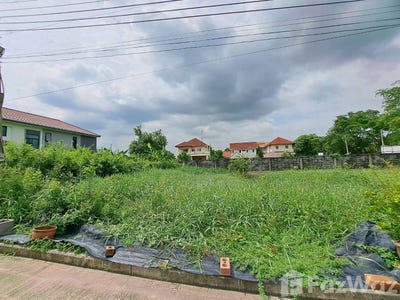 /international/th/bo-tokpla-ro-yo-samwa-tawan-tok-khlong-sam-wa-bangkok-10510-thailand-khlong-sam-wa-bangkok-340105597902/