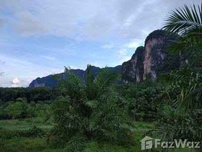 /international/th/atv-srakaew-kitrungraoung-adventure-ทางหลวงชนบท-กบ-1003-เขาทอง-กระบี่-81000-ประเทศไทย-กระบี่-krabi-340105547558/