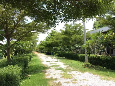 /international/th/บ้านหนองปลาไหล-ศรีมงคล-ไทรโยค-กาญจนบุรี-71150-ประเทศไทย-ไทรโยค-340105593292/