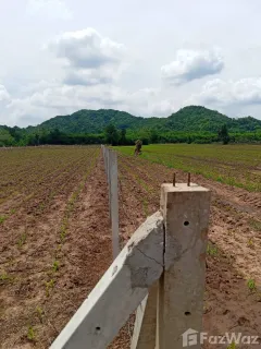 /international/th/ทางหลวงชนบท-สบ-1026-เขาดินพัฒนา-เฉลิมพระเกียรติ-สระบุรี-18000-ประเทศไทย-เฉลิมพระเกียรติ-340108163485/