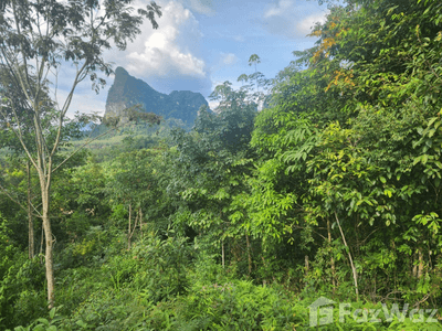 /international/th/ดินดังแคทคาเฟ่-หนองทะเล-กระบี่-81180-ประเทศไทย-กระบี่-krabi-340105623505/