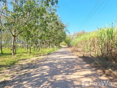 /international/th/213-อด-2117-หนองวัวซอ-อุดรธานี-41360-ประเทศไทย-หนองวัวซอ-340105568127/