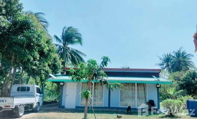 /international/th/บ้านหนองไทร-หนองตาแต้ม-ปราณบุรี-ประจวบคีรีขันธ์-77120-ประเทศไทย-ปราณบุรี-340105574564/