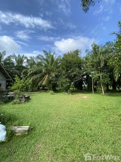 /international/th/บ้านทรายทอง-นาใต้-บ้านนาเดิม-สุราษฎร์ธานี-84240-ประเทศไทย-บ้านนาเดิม-340106808627/