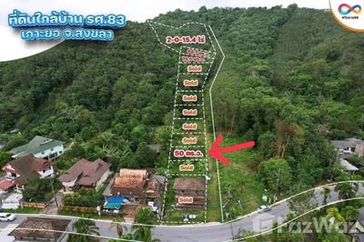 /international/th/สงขลา-90000-ประเทศไทย-สงขลา-340105576760/