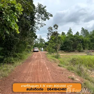 /international/th/ลาซาด้า-กุดชมภู-พิบูลมังสาหาร-อุบลราชธานี-34110-ประเทศไทย-พิบูลมังสาหาร-340105597811/