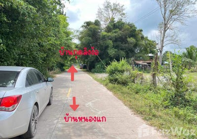 /international/th/59-1-บ้านศรีเชียงใหม่-นาดี-อุดรธานี-41000-ประเทศไทย-อุดรธานี-340105591670/