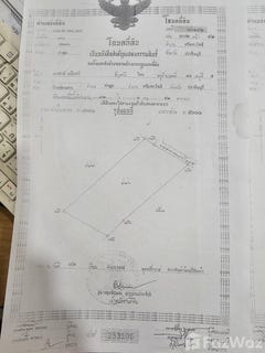 /international/th/ท่าตูม-ท่าตูม-ศรีมหาโพธิ-ปราจีนบุรี-25140-ประเทศไทย-ศรีมหาโพธิ-340105566937/