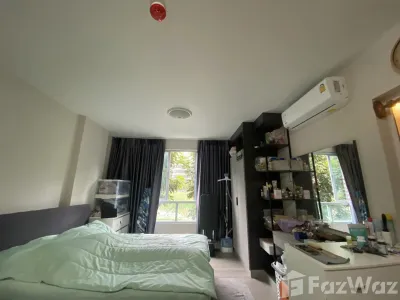 /international/th/soi-mooban-krisana-house-khlong-nueng-khlong-luang-pathum-thani-12120-thailand-khlong-luang-pathum-thani-340105578313/