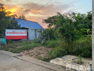 /international/th/ประตูน้ำ-ช็อป-ซอย-1-โคกวัด-คอหงส์-หาดใหญ่-สงขลา-90110-ประเทศไทย-หาดใหญ่-340105585016/