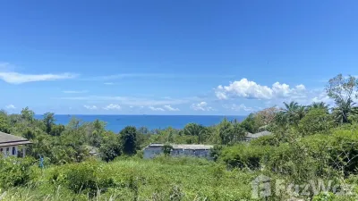 /international/th/กระบี่-81000-ประเทศไทย-กระบี่-krabi-340108137217/
