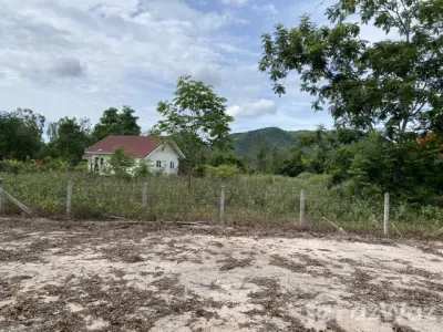/international/th/big-bear-resort-cha-am-huai-sai-nuea-cha-am-phetchaburi-76120-thailand-cha-am-phetchaburi-340108897723/