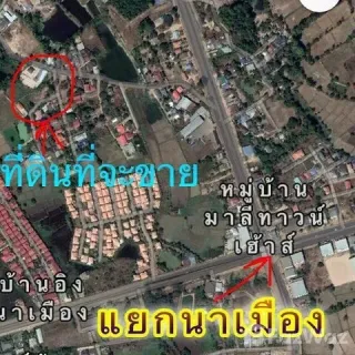 /international/th/379-ทางหลวงชนบท-อบ-4009-ไร่น้อย-อุบลราชธานี-34000-ประเทศไทย-อุบลราชธานี-340105580200/
