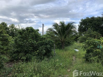 /international/th/ลพ-3194-เหมืองจี้-ลำพูน-51000-ประเทศไทย-ลำพูน-340106942533/