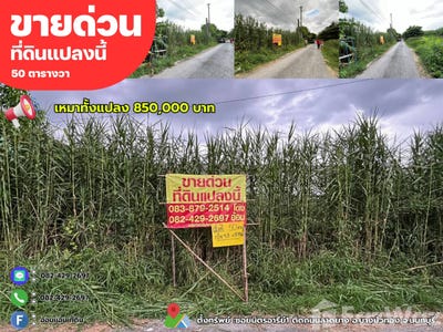 /international/th/หน้าหมู่บ้านเอื้ออาทรบางบัวทอง-1-ถนน-บางกรวย-ไทรน้อย-บางบัวทอง-นนทบุรี-11110-ประเทศไทย-บางบัวทอง-340105543072/