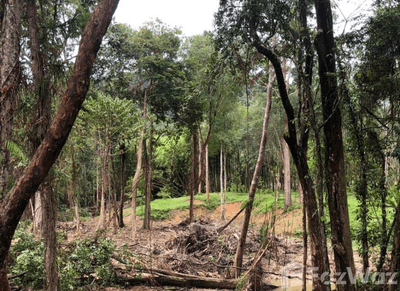 /international/th/บ้านลิตเติ้ลดราก้อน-หนองทะเล-กระบี่-81180-ประเทศไทย-กระบี่-krabi-340105613862/
