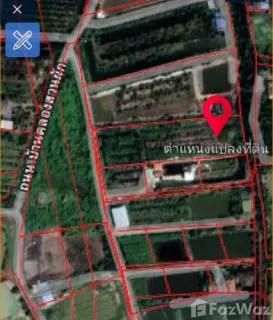 /international/th/เรืองหมูหมู-บ้านหนองบัว-บางไผ่-ฉะเชิงเทรา-24000-ประเทศไทย-ฉะเชิงเทรา-340105592215/