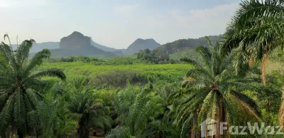 /international/th/ซอย-พัฒนา-2-อ่าวนาง-กระบี่-81180-ประเทศไทย-กระบี่-krabi-340108564700/