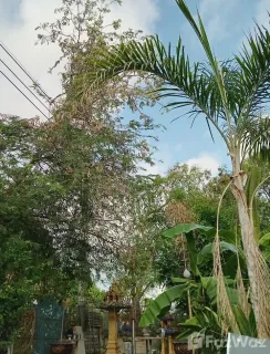 /international/th/66-33-soi-muban-warocha-5-bang-phriang-bang-bo-samut-prakan-10560-thailand-bang-bo-bangkok-340107149611/